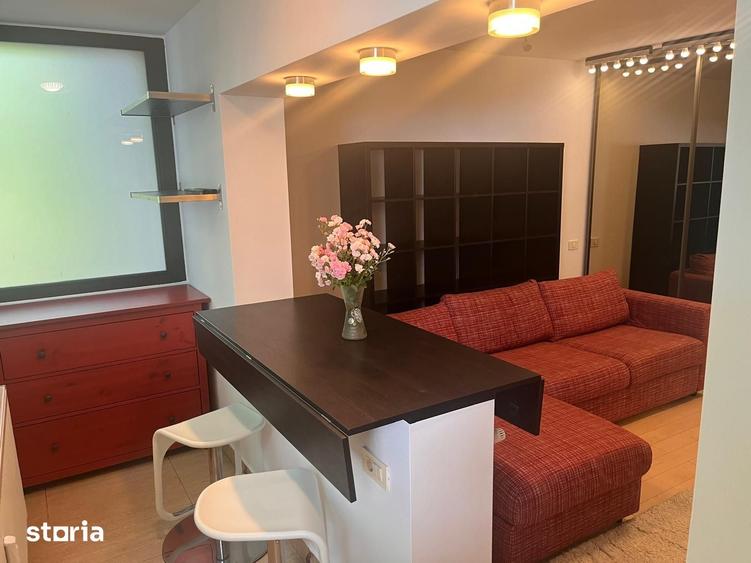 Apartament 2 camere, zona Piata Victoriei, mobilat - 4