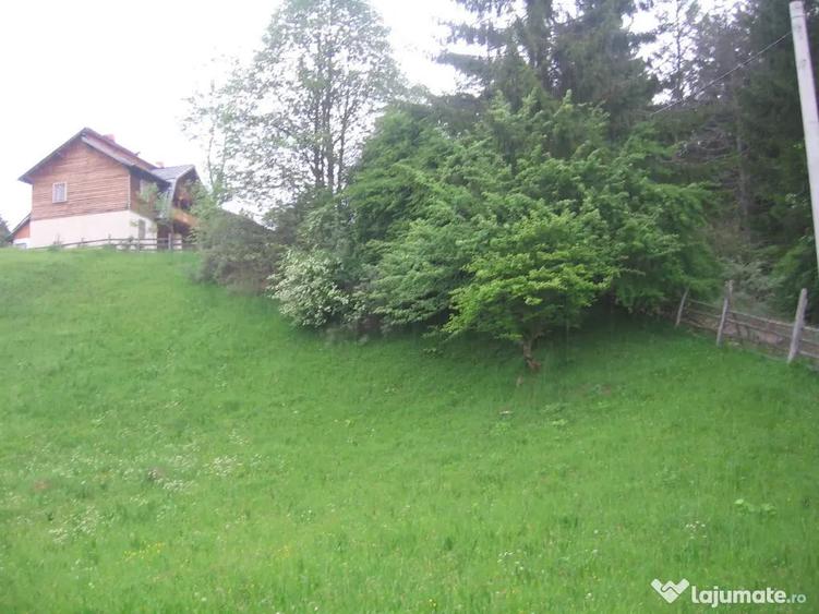 Teren de 4080 mp, în Valea Doftanei