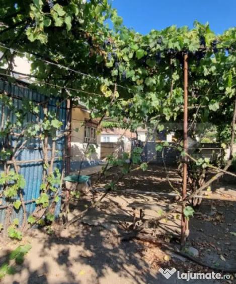Casa cu 3 camere, anexe, curte ?i gradina - Boian (Cluj) - 13