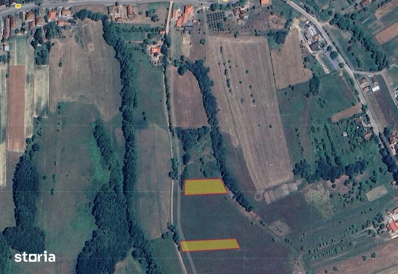 Teren de 3000 mp, în Băița