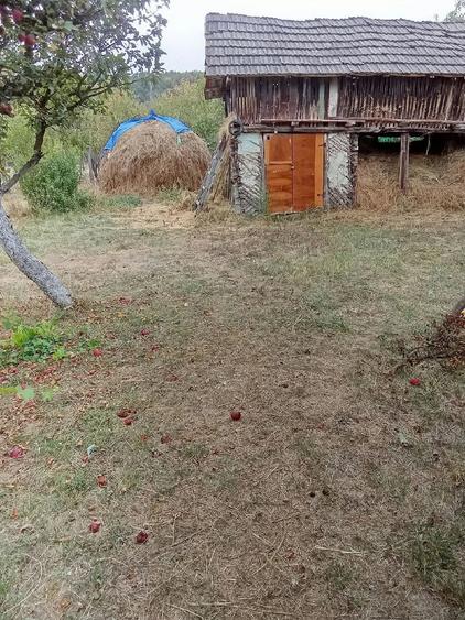 Teren-casa de vanzare - 3