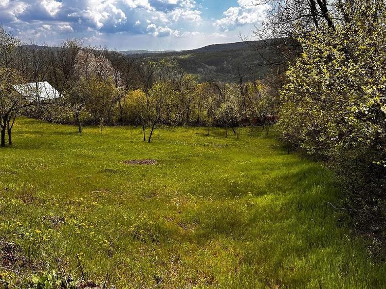 Teren de 2350 mp, în Surani