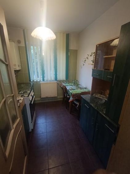 Apartament cu 2 camere semidecomandat, mobilat în Dumbrava 2