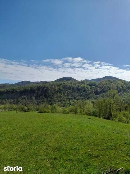 Teren de 1632 mp, în Oituz