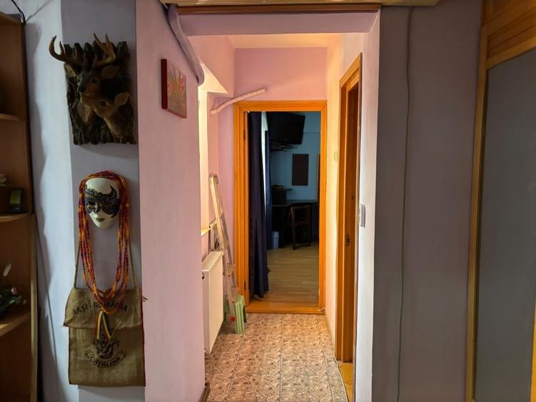Apartament cu 2 camere decomandat, mobilat în Păcurari