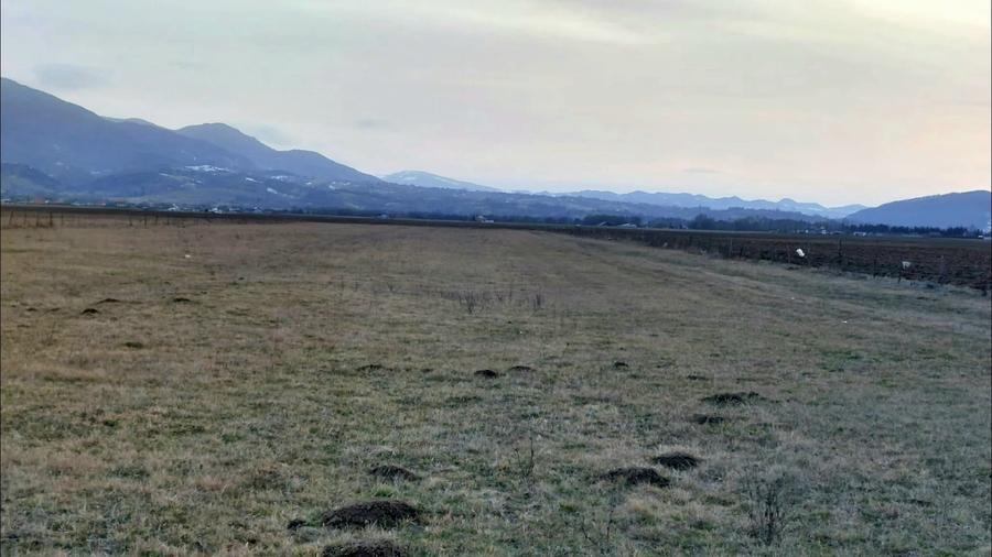 Teren Construcții intravilan de 1049 mp, în Pănicel