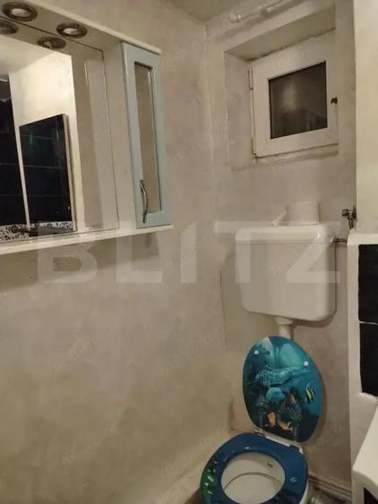 Apartament cu 2 camere semidecomandat în Botizului