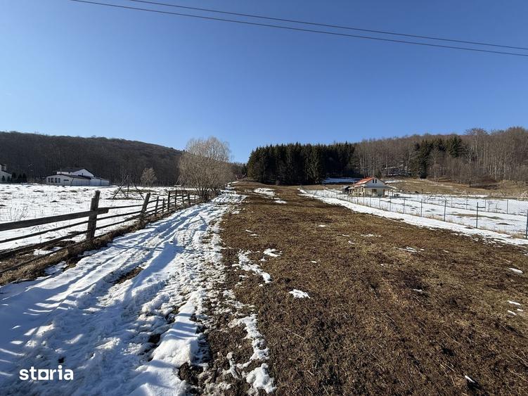Teren de 4521 mp, în Valea Doftanei