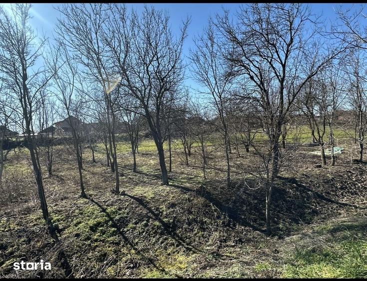 Teren de 960 mp, în Păulești