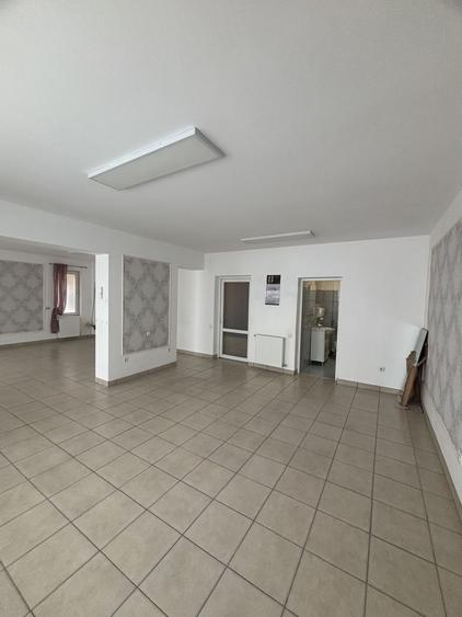 Spațiu zona Mehala - 14