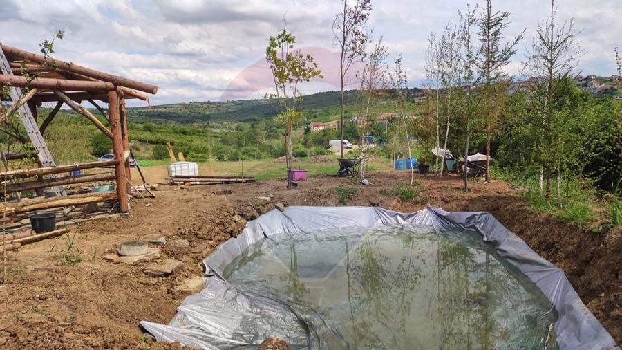 Teren Construcții intravilan de 1200 mp, în Săldăbagiu de Munte
