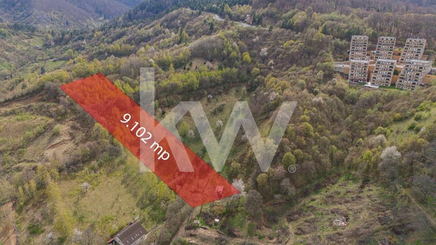 Teren Construcții intravilan de 9102 mp, în Drumul Poienii