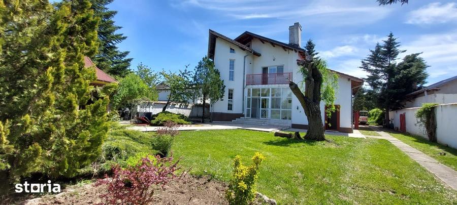 Vanzare vila cu piscina Snagov - Ciofliceni, teren 2649mp - 6