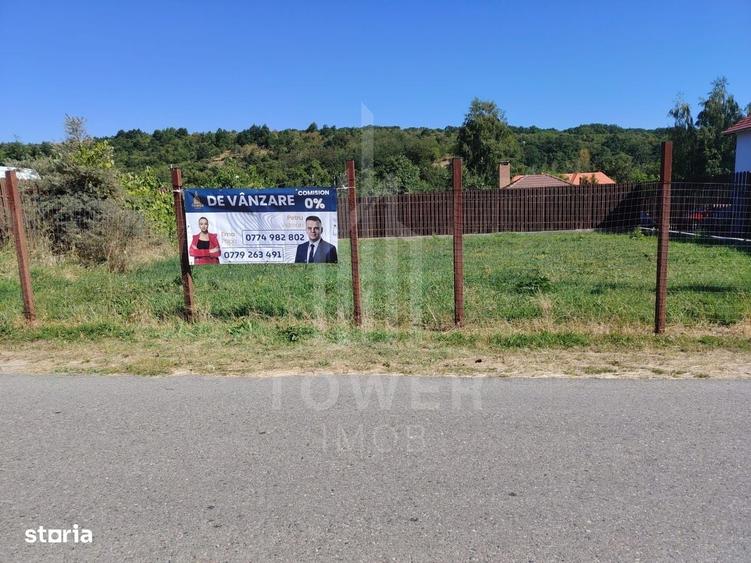 Spațiu comercial, în Sibiel