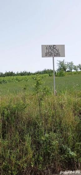 Teren de 5000 mp, în Copălău