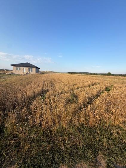 Teren Construcții extravilan de 2250 mp, în Filiași