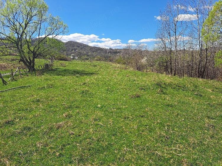 Teren de 3600 mp, în Central