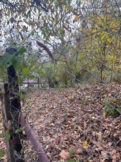 Teren de 400 mp, în Călărași