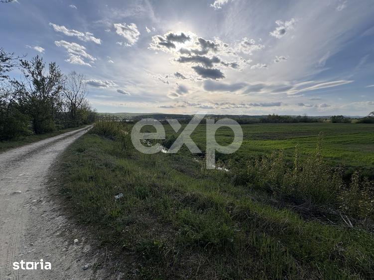 Teren de 20000 mp, în Budeasa