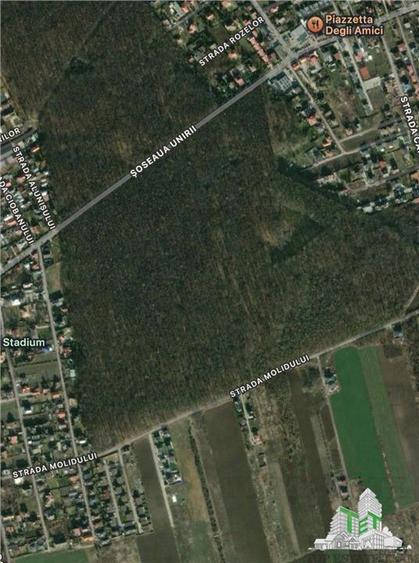 Teren Construcții intravilan de 1170 mp, în Tamași