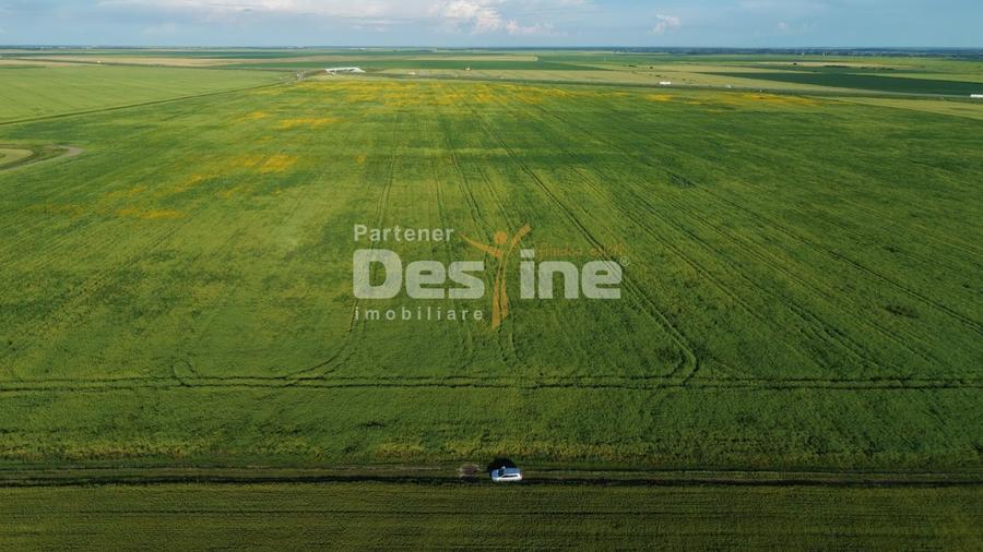 Teren agricol extravilan de 41225 mp, în Dumbrava