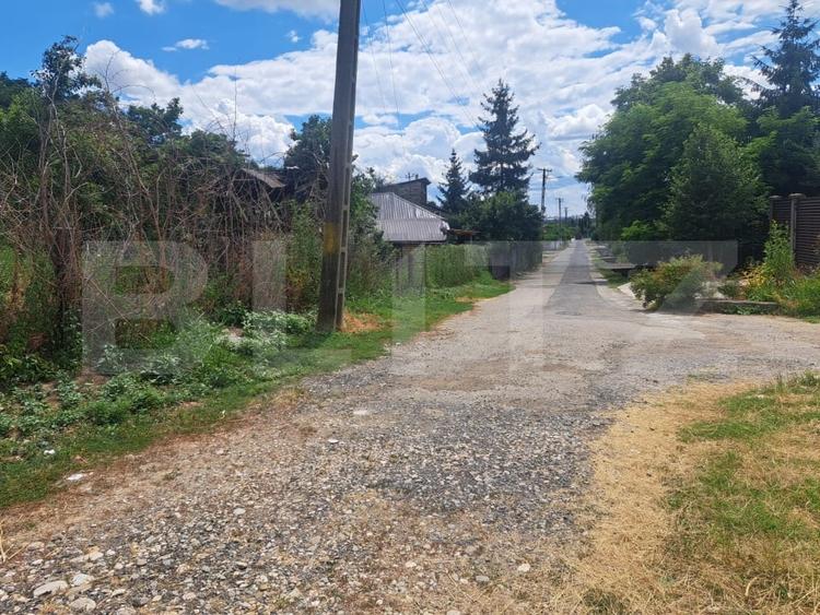 Teren Construcții intravilan de 3484 mp, în Viforâta
