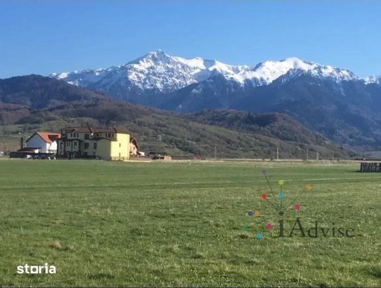 Teren de 3800 mp, în Râșnov