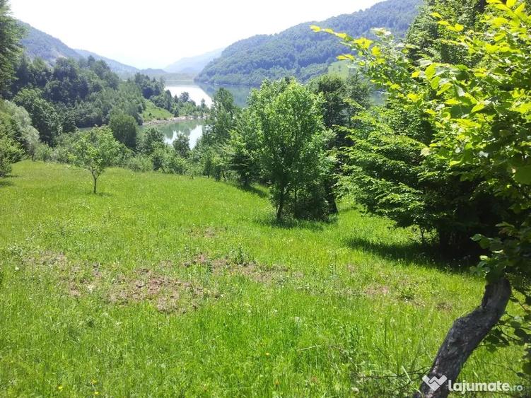 Teren de 73000 mp, în Siriu