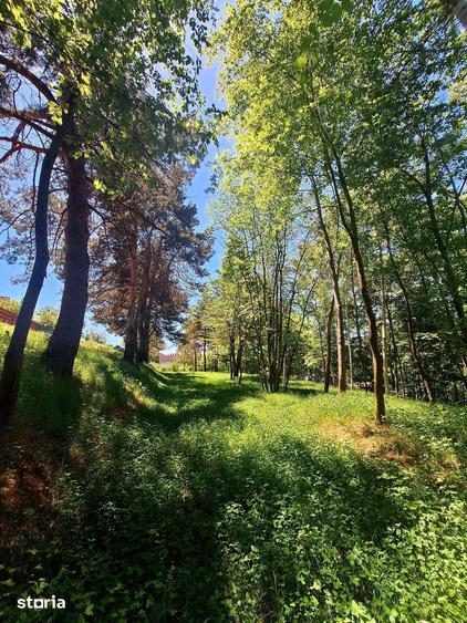 Teren de 3660 mp, în Central