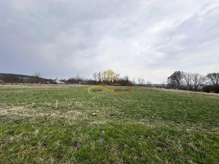 Teren de 11021 mp, în Blăgești