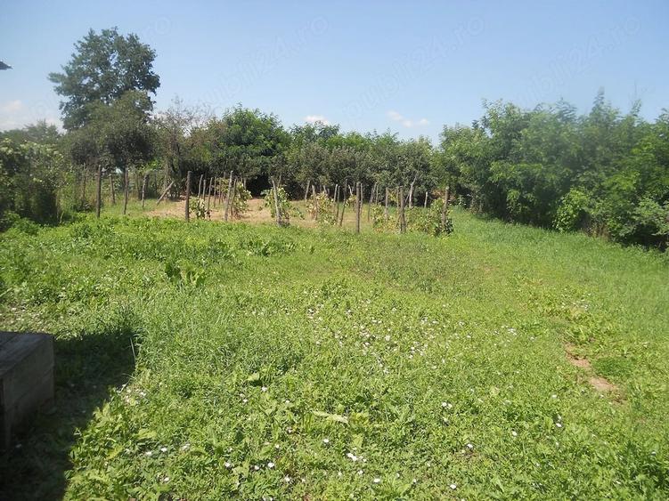 Casa la 25 km de Piatra Neamt spre Bacau - 6