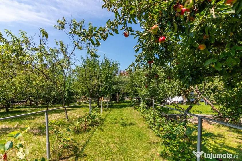 Casă cu 7 camere cu Teren 3425 Mp în Central