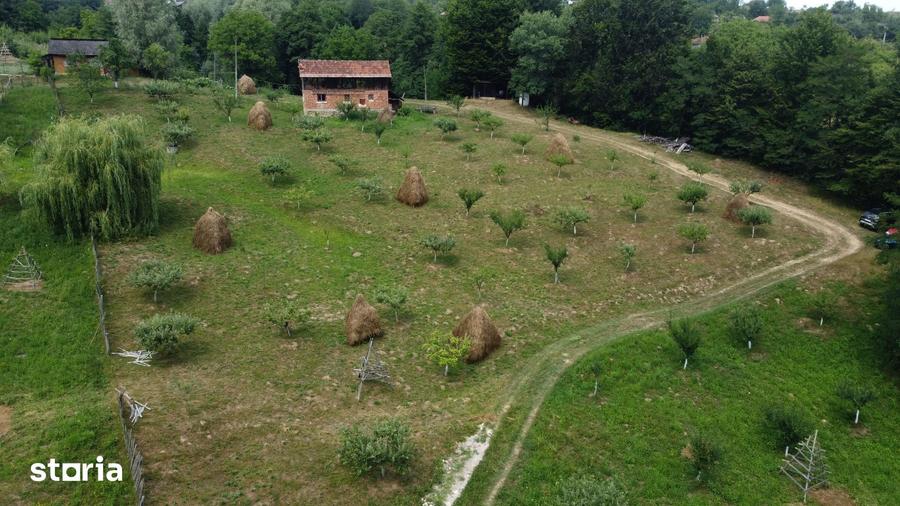Teren de 6200 mp, în Cicănești