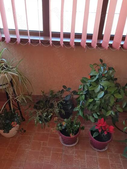 Casă cu 5 camere cu Teren 2550 Mp în Munteni