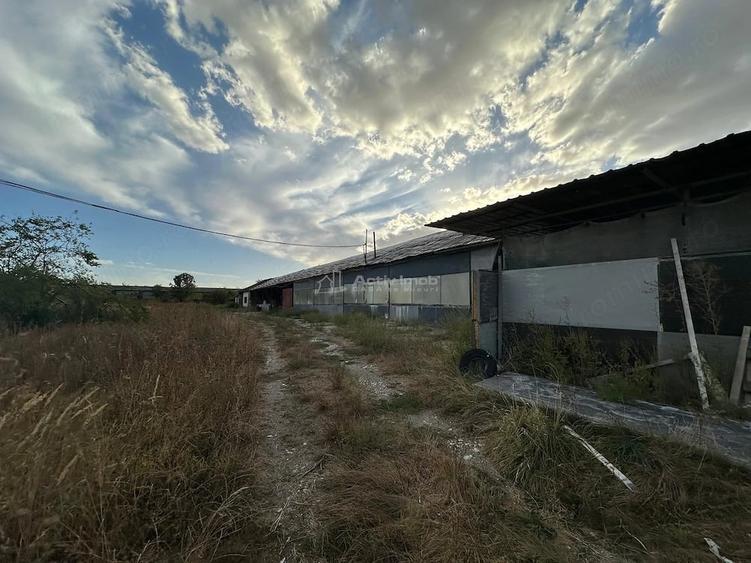 Teren de 17564 mp, în Berzovia