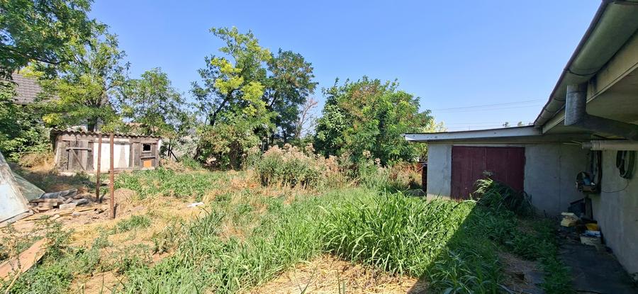 Sat Costi – Proprietate 1.905 mp cu casă, ideală pentru 2-3 locuințe - 10