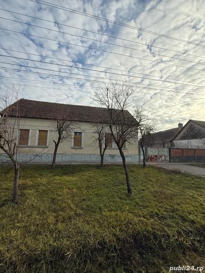 casa de vanzare in Liebling jud Timis - 4