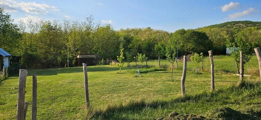 Teren de 400 mp, în Șiria