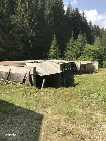 Teren de vanzare Sucevita