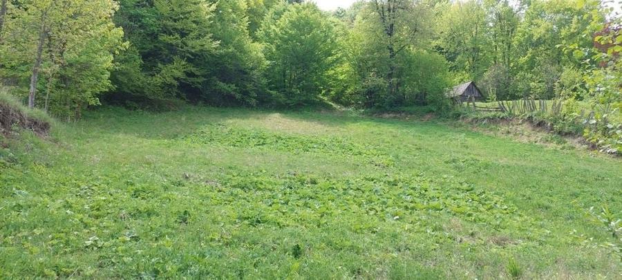 Teren de 12820 mp, în Agăș