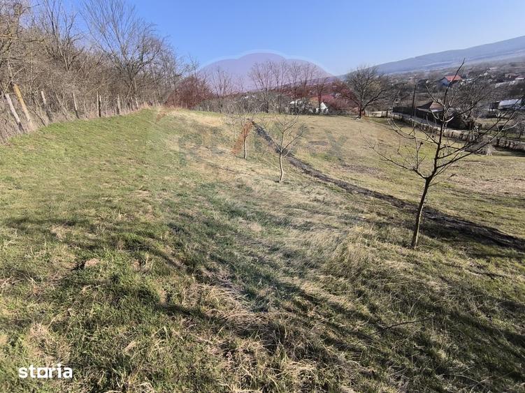 Teren de 2853 mp, în Urechești