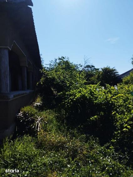 Casă cu 3 camere cu Teren 1900 Mp în Comana