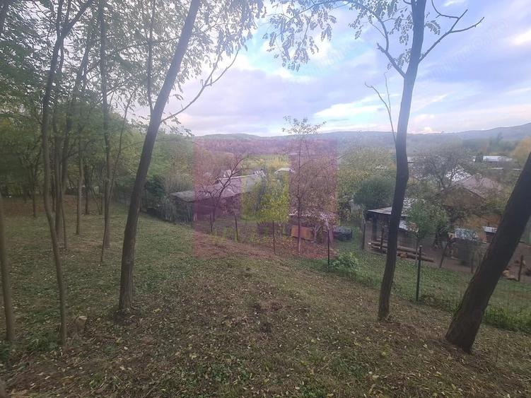 Casă cu 3 camere cu Teren 3410 Mp în Aluniș