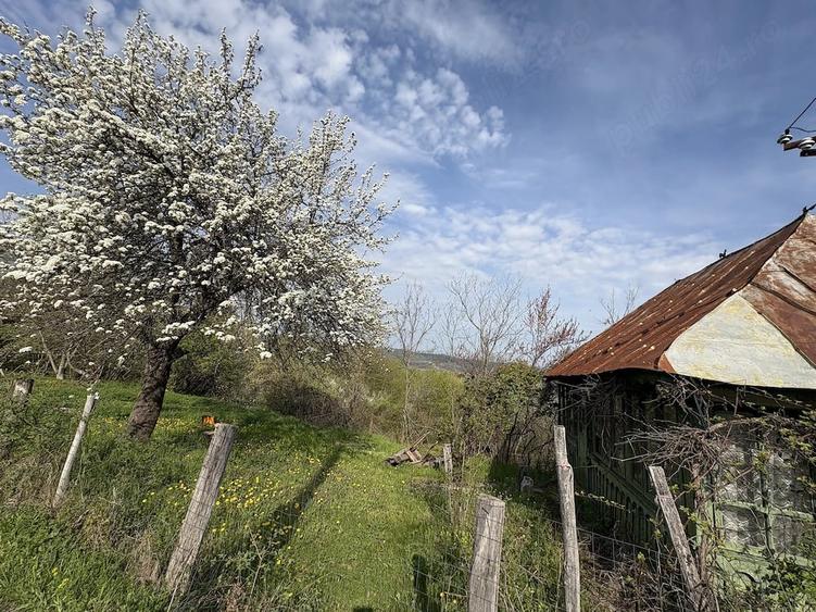 Teren de 5200 mp, în Măncioiu