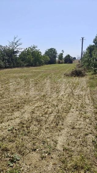 Casă cu Teren 2200 Mp în Dobra