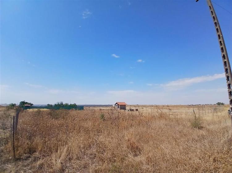 RECO Teren intravilan 500 mp  Livada de bihor - 4