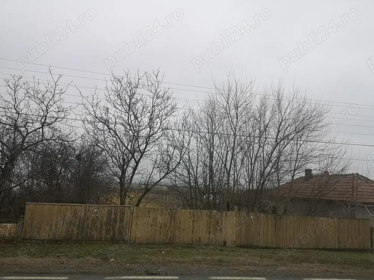 Teren de 2570 mp, în Prundeni