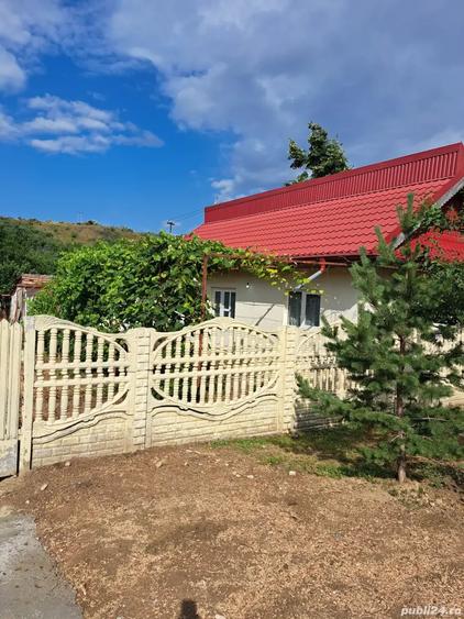 Casă cu 4 camere în Topliceni