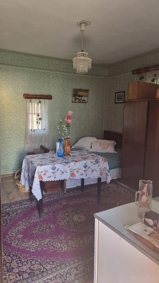 Casă individuală cu 2 camere cu Teren 3800 Mp în Berislăvești