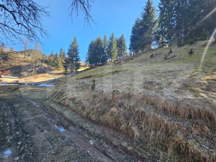 Teren Construcții intravilan de 2977 mp, în Scărișoara